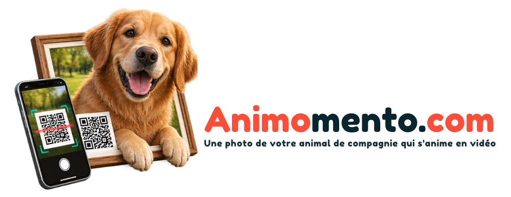 Animomento.com : une photo de votre animal de compagnie qui s'anime en vidéo